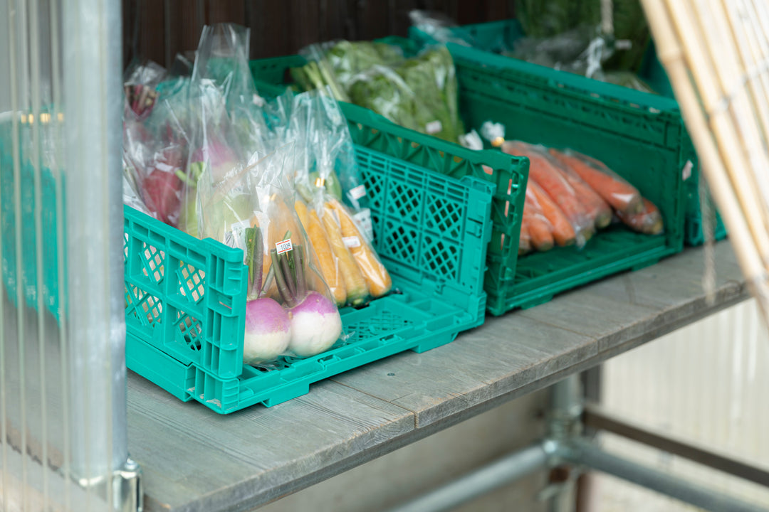 乾燥野菜はどこで買える？