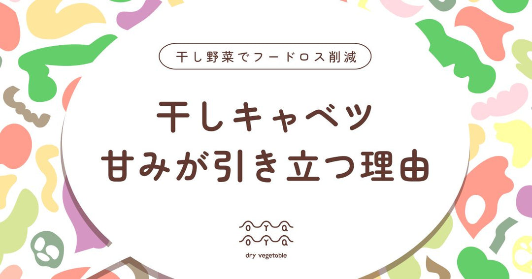干し野菜 キャベツ編｜甘みが引き立つ理由と使いやすさを徹底解説