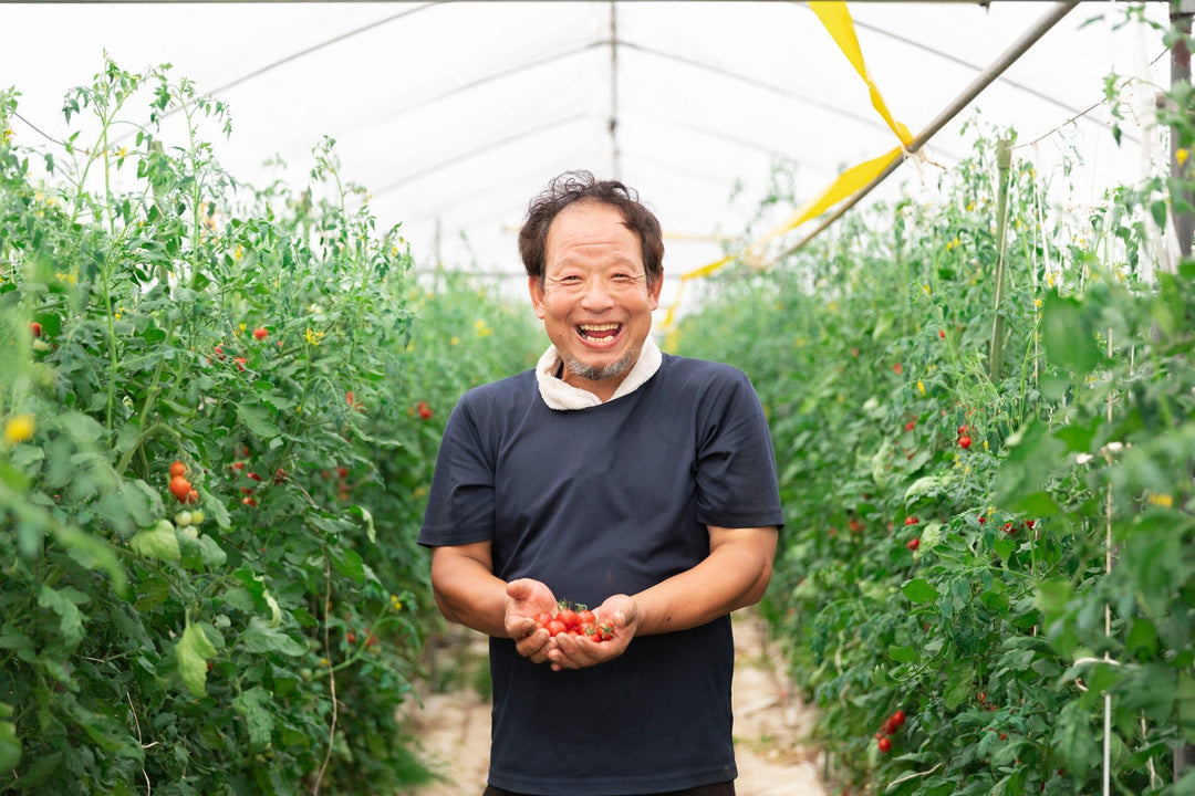和田農園 | やりすぎトマト - OYAOYA