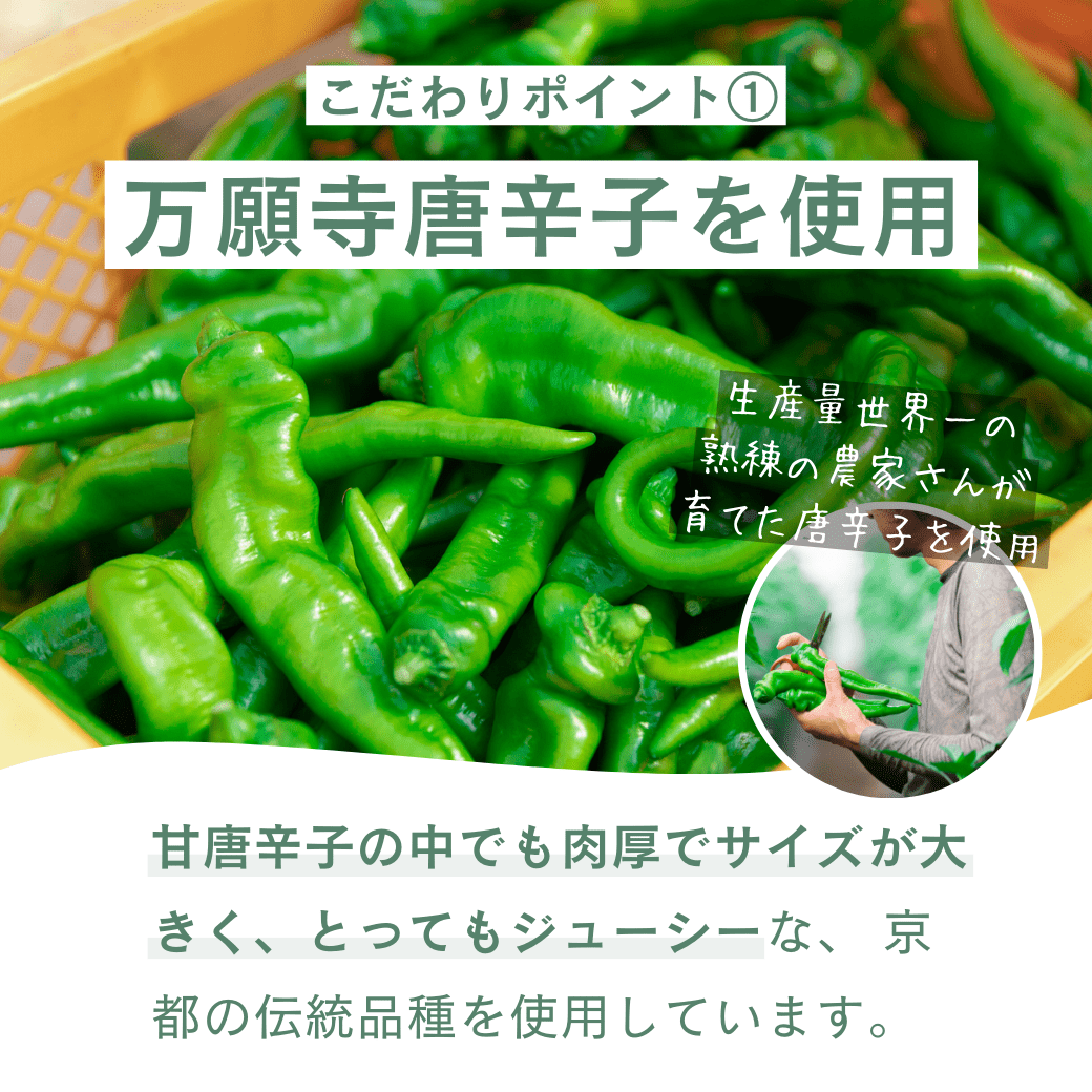 【12袋】青唐辛子　唐辛子　ドライ　乾燥　乾燥野菜　青とうがらし　南蛮　胡椒 12袋】青唐辛子 唐辛子 ドライ 乾燥 乾燥野菜 青とうがらし 南蛮