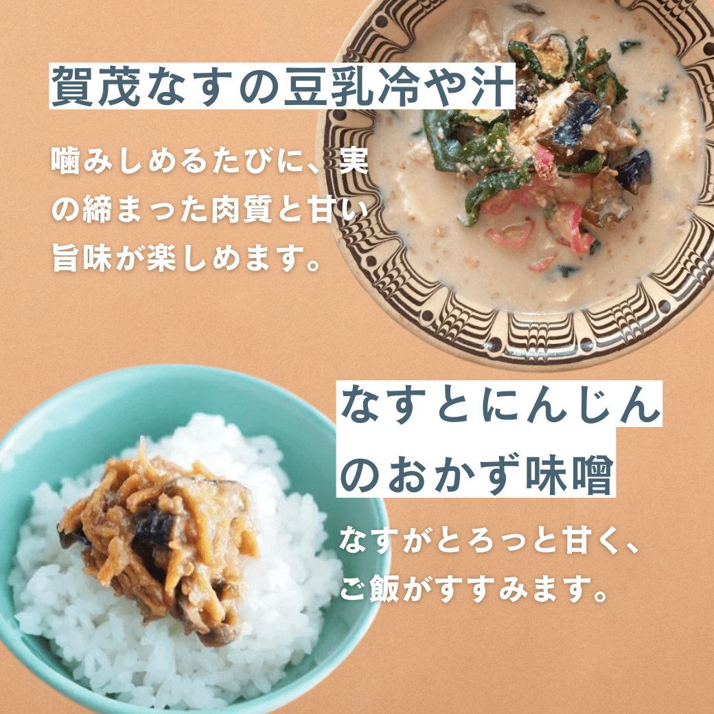 賀茂なす｜京野菜のレシピ