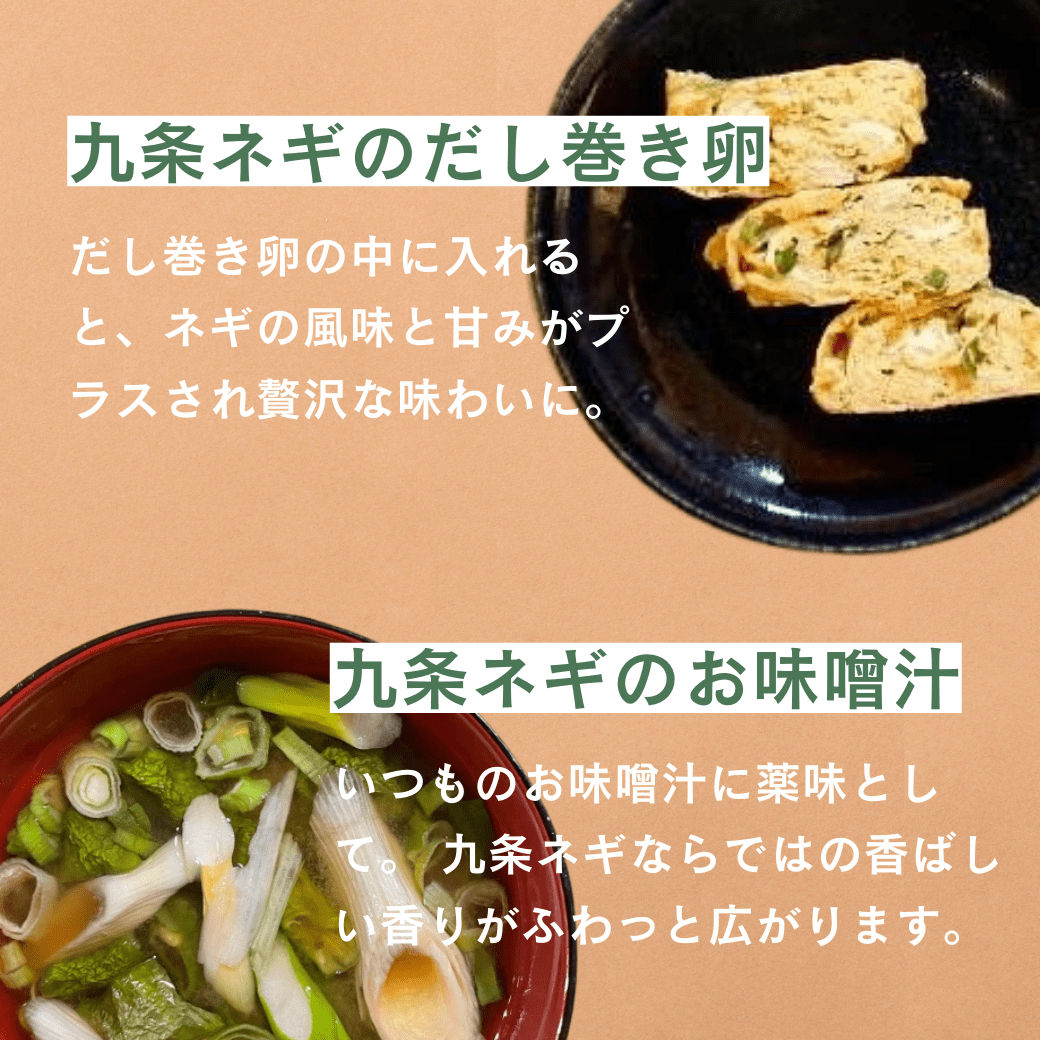 乾燥九条ねぎ｜京野菜のレシピ