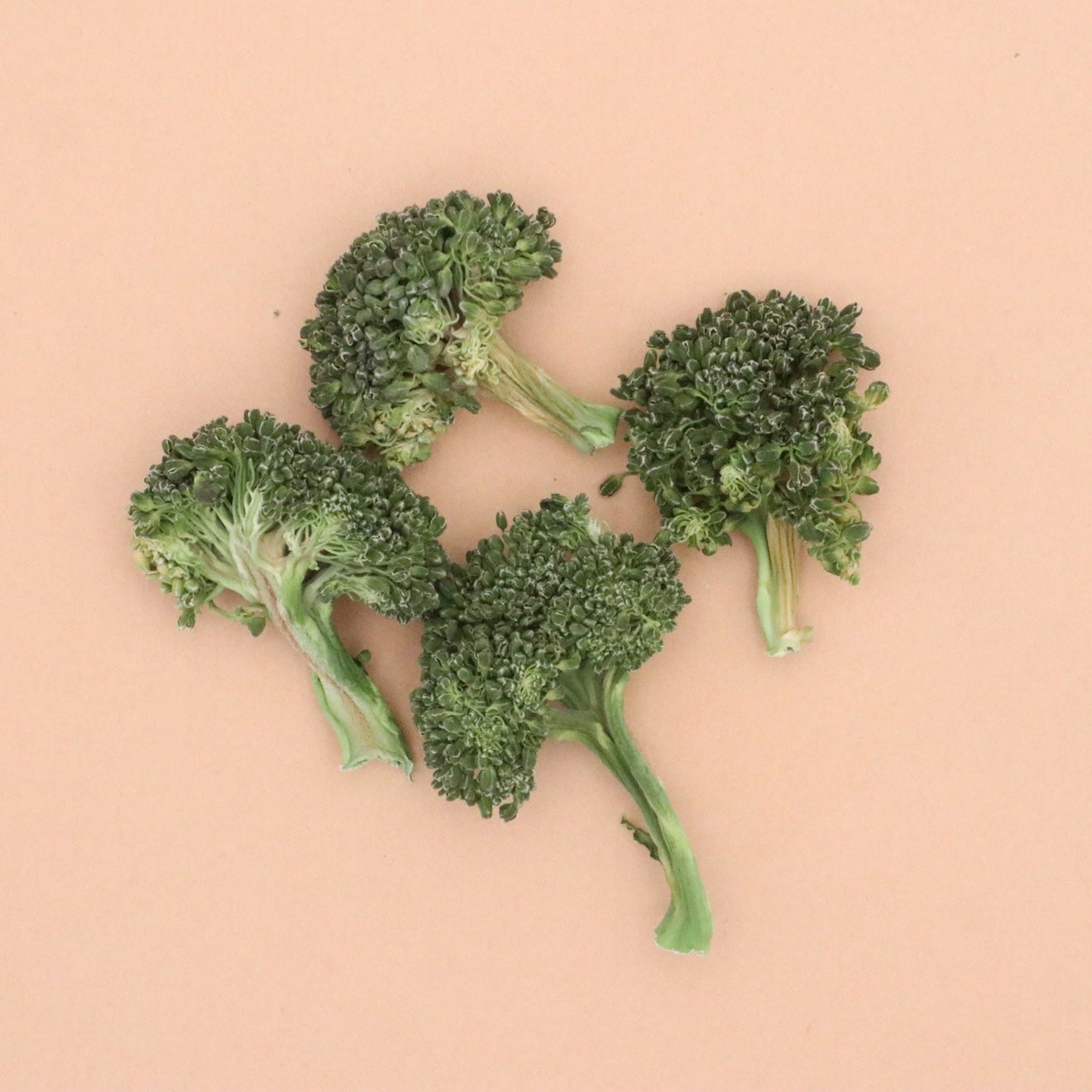 DECDB40A-6F6F-493F-891F-